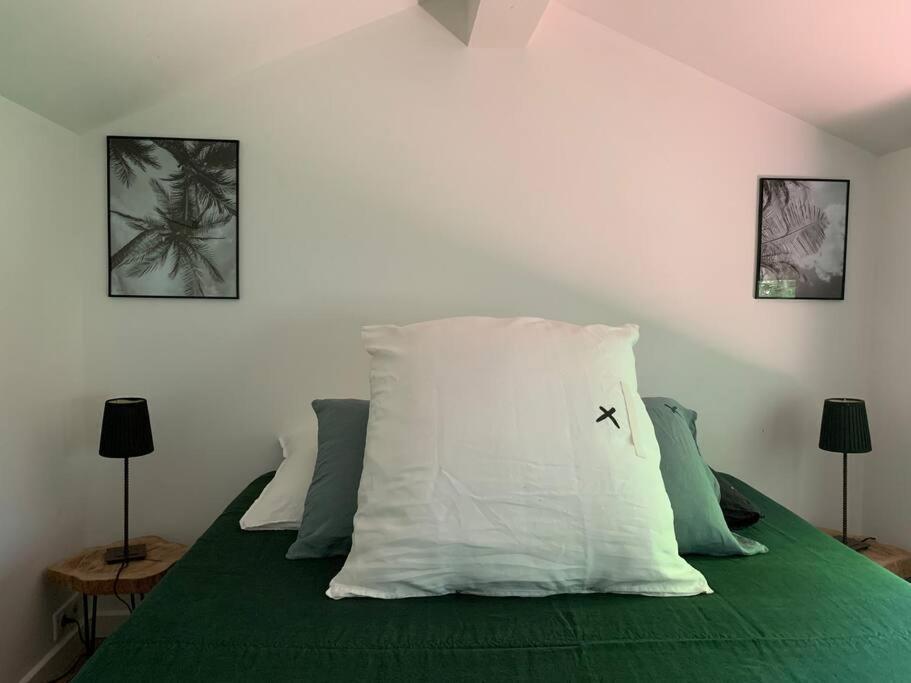 Cabanon Villa Carqueiranne Eksteriør billede